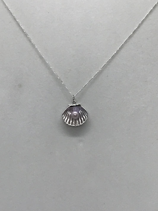 Silver shells, silver shells