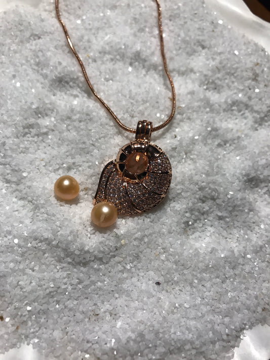 Nautilus Shell cage