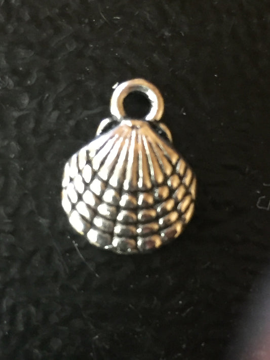 small shell charm