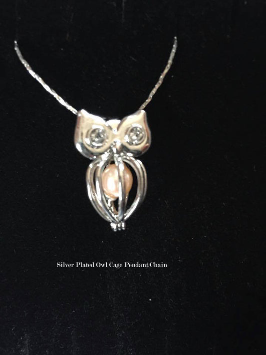 The Wise Guy Owl Cage